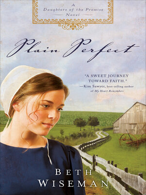 cover image of Plain Perfect